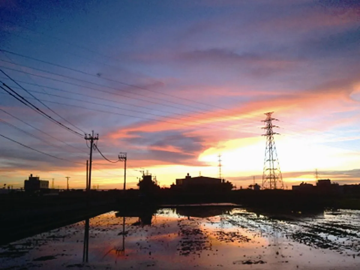 ◆生活快門  田間夕照