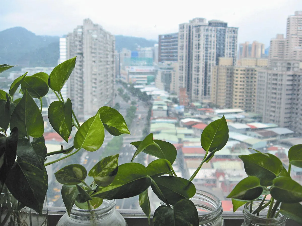 9~10月主題徵文 我家門前 時有不同風景