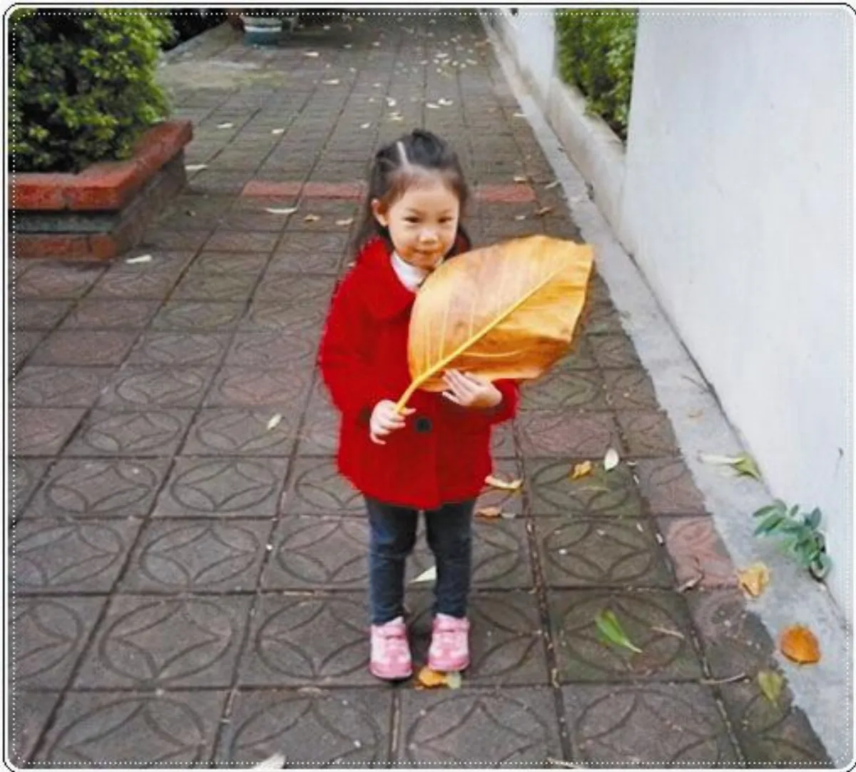 生活快門 孫女的最愛