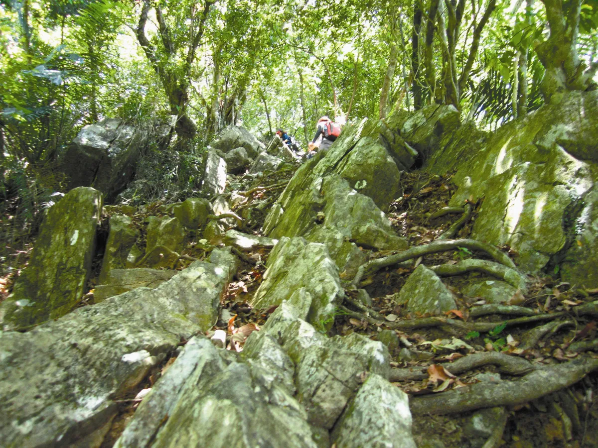 生活快門  爬山心情
