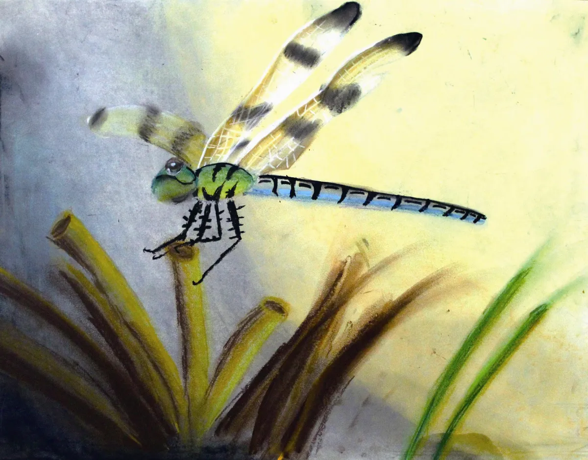 青春藝林 停‧歇