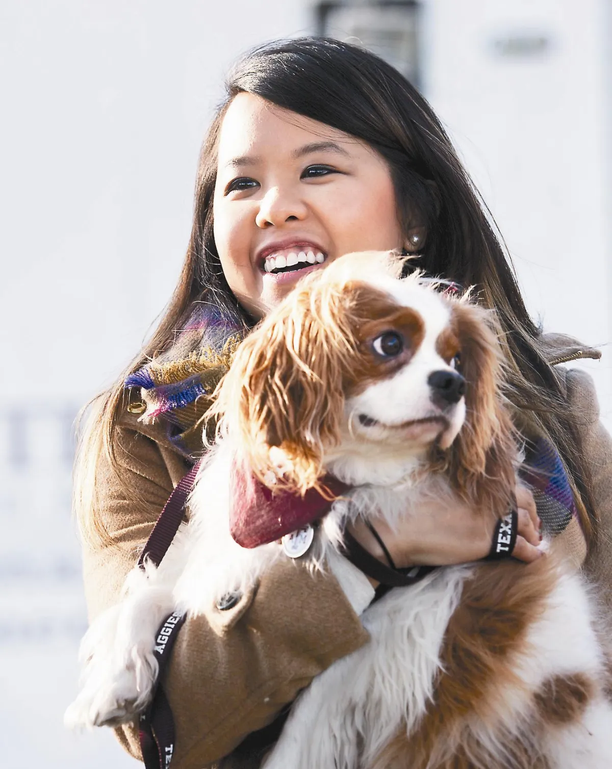 美染伊痊癒護士 愛犬也無恙