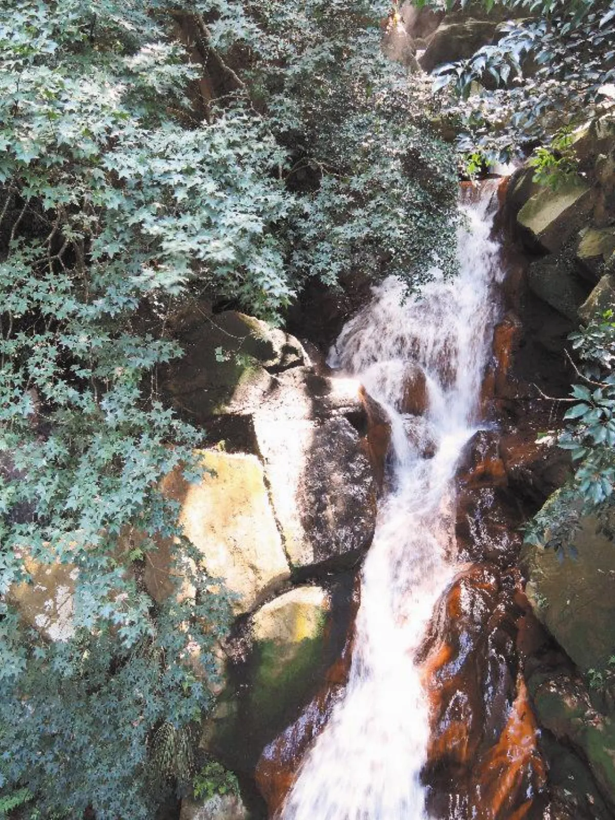陽明山湧泉祕境開放參觀