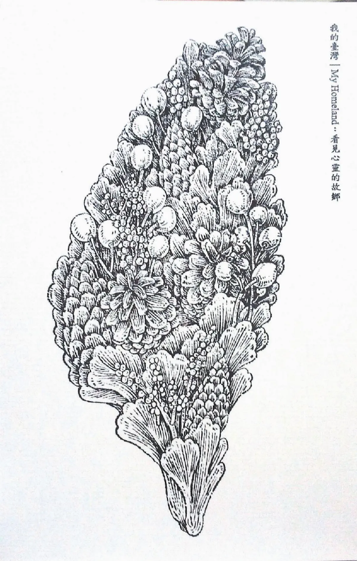 家書台灣 繪2000圖騰