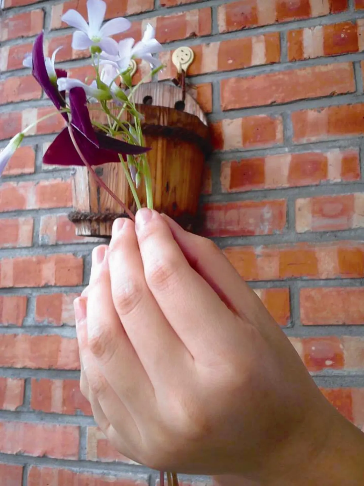 繭居主婦微生活 解開一生的密碼