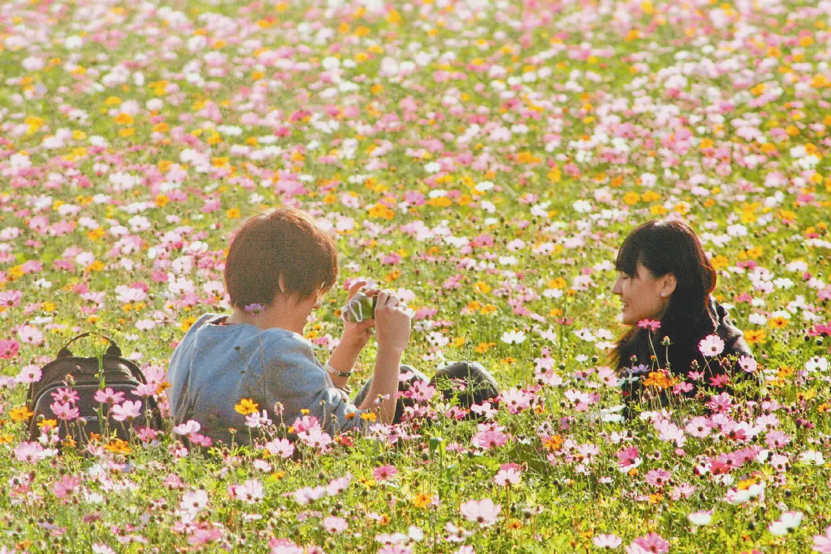 人生萬花筒  來不及說再見的戀情