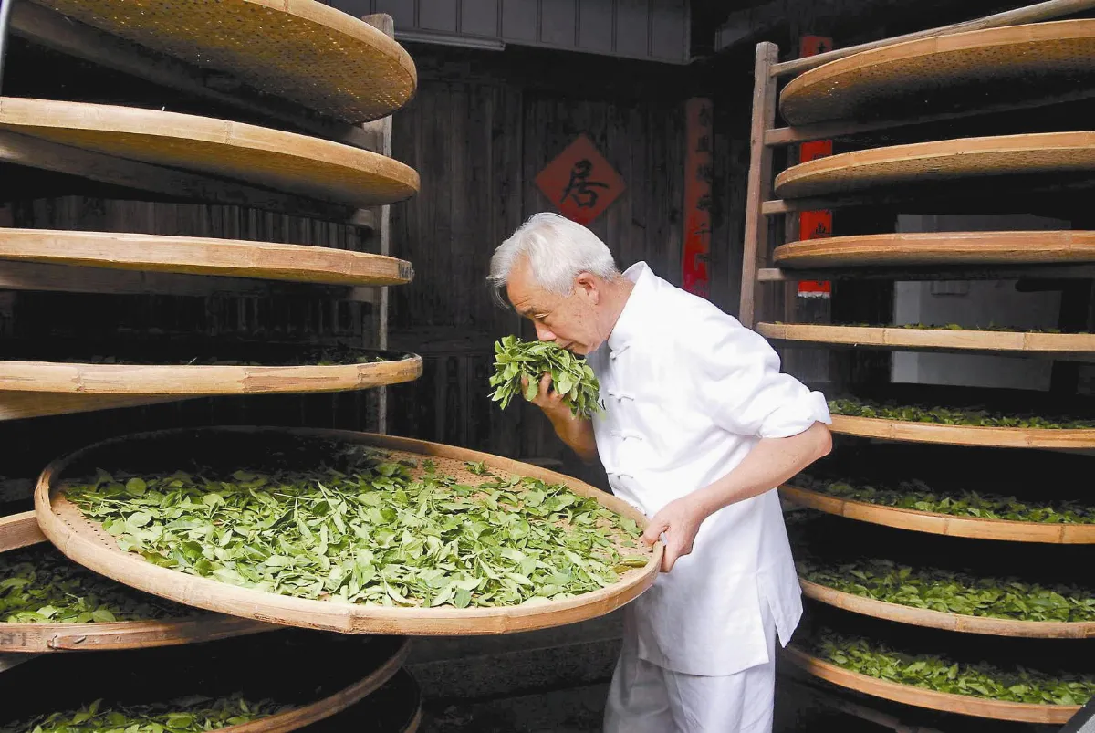 喝綠茶 可防頭頸部癌症