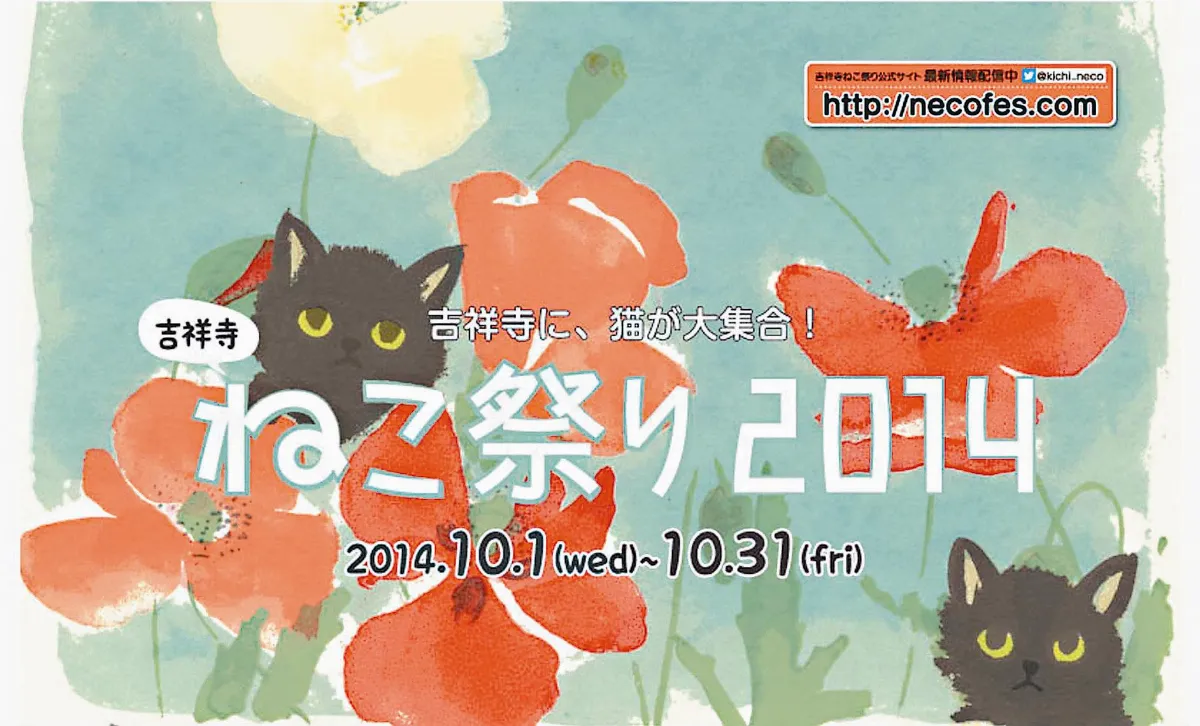 吉祥寺貓祭 超卡哇伊
