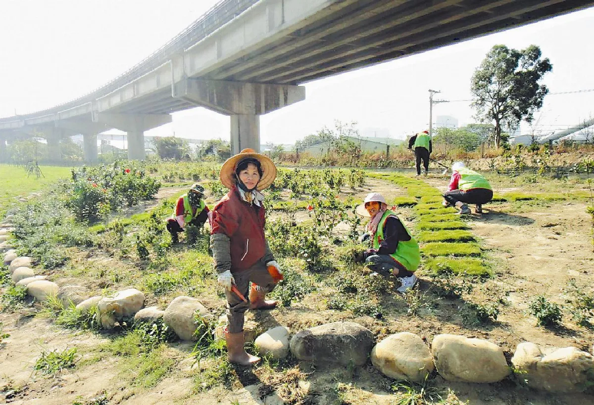 廢物偷倒天堂 變身花園