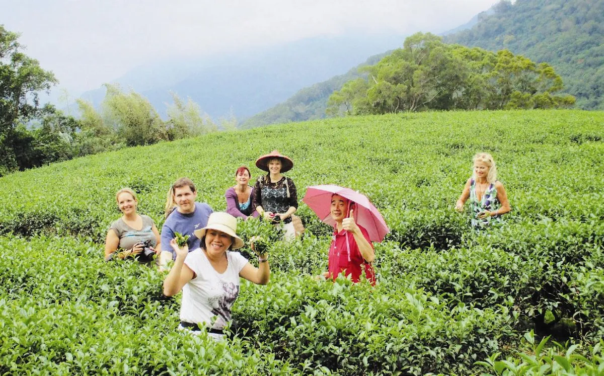 德旅遊 難忘台灣茶山風情