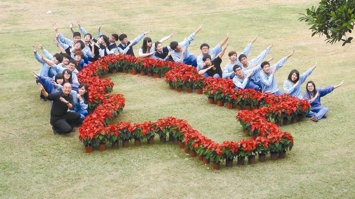 創意耶誕紅 秀水校園很藝術