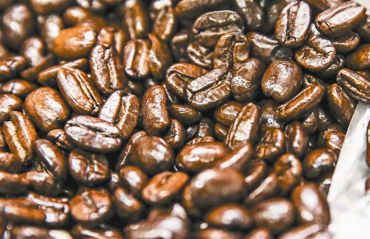 品咖啡 咖啡的烘焙