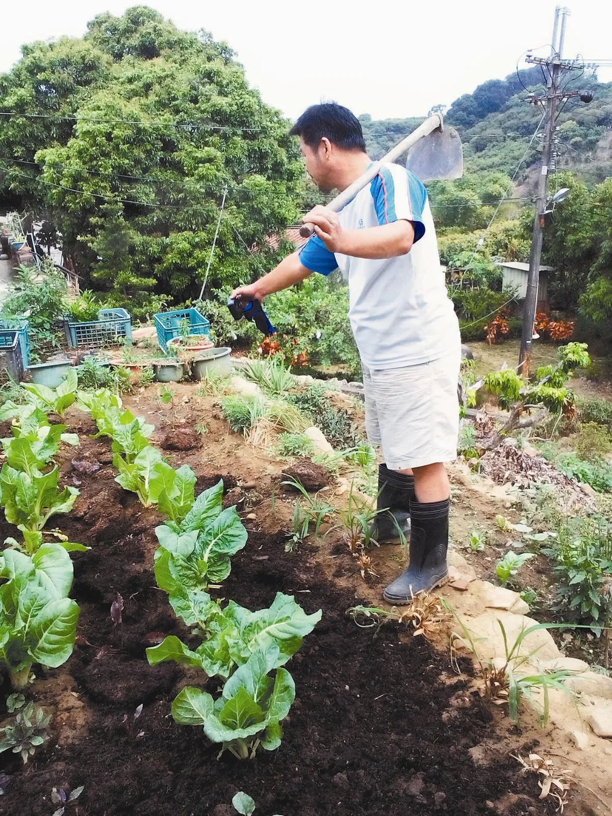 鄉居樂活 我的生態小農園
