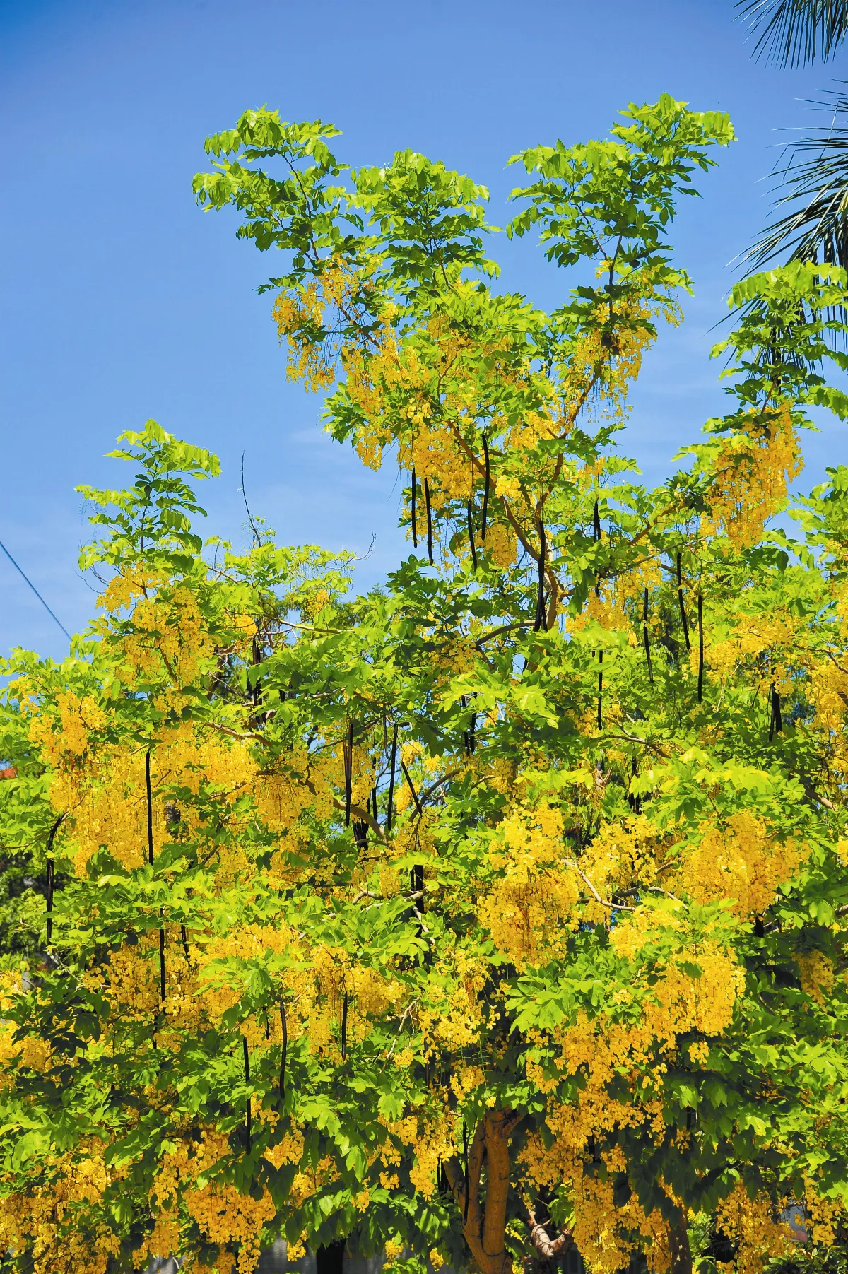 福慧故事 一文施捨 萬文收