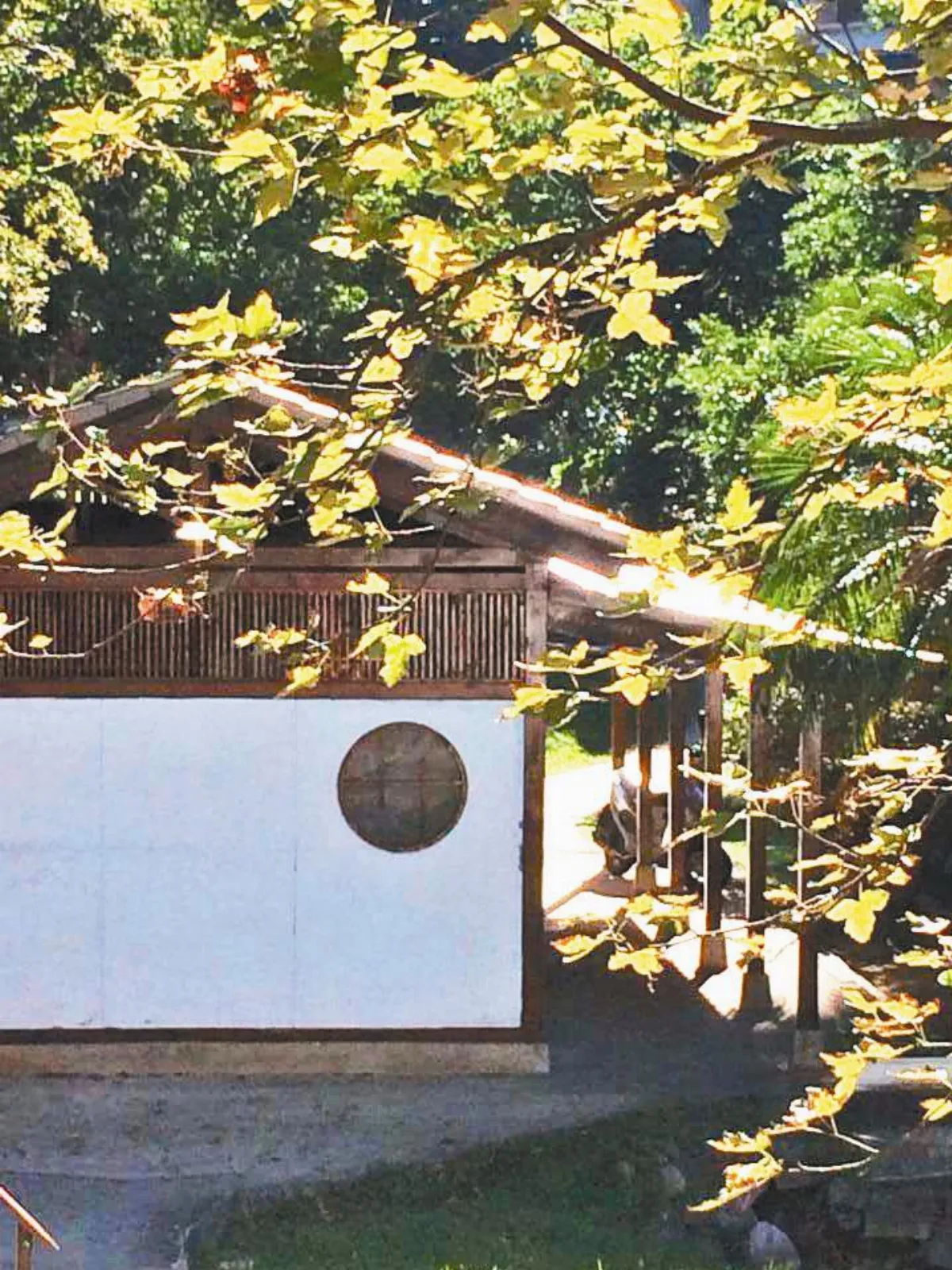 城市周記 冬藏