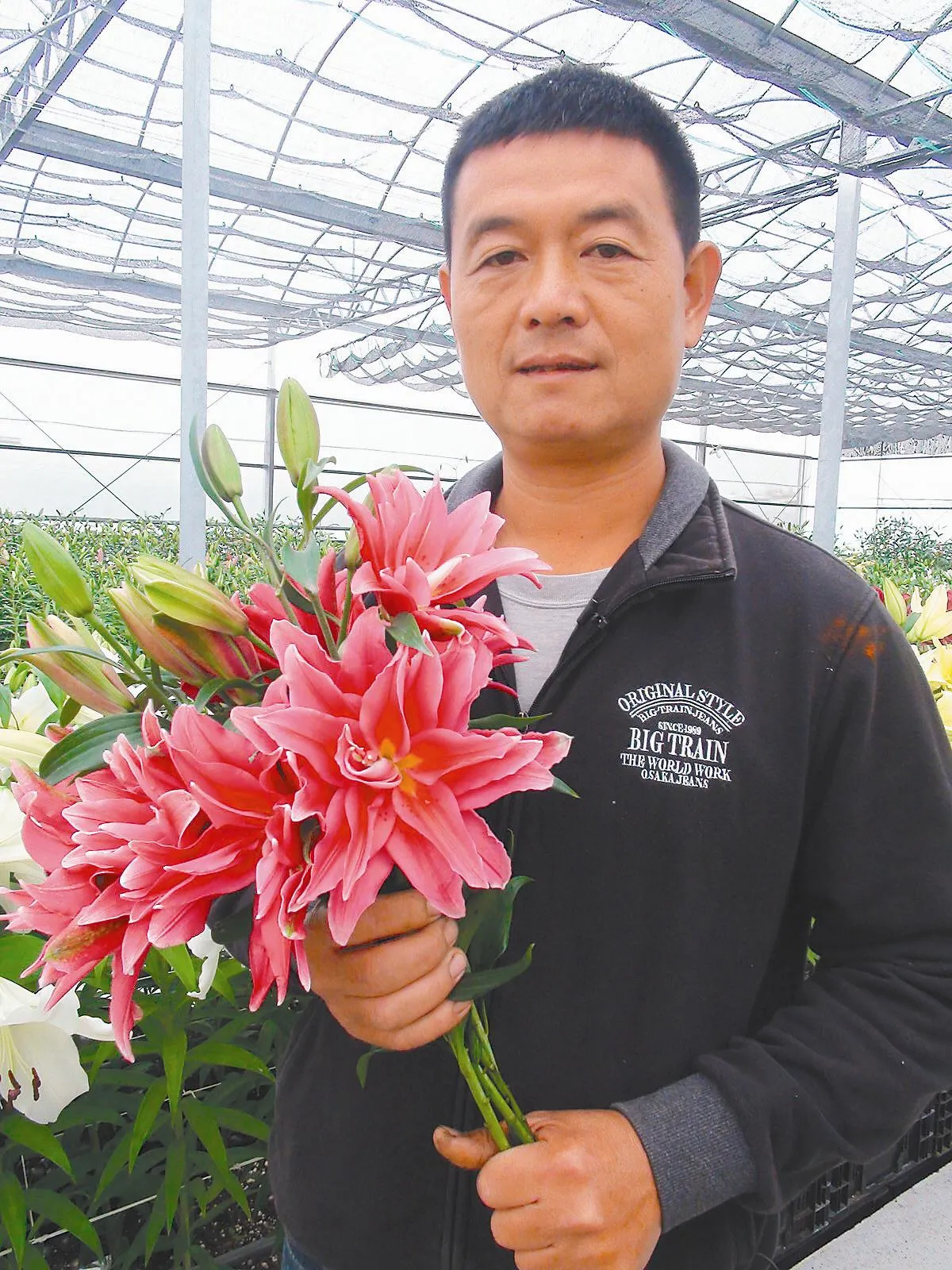 花農辦百合花節 免費開放