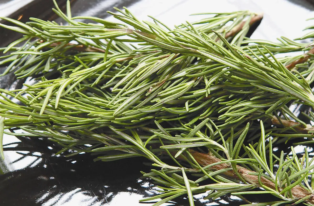 用「心」 種出美味