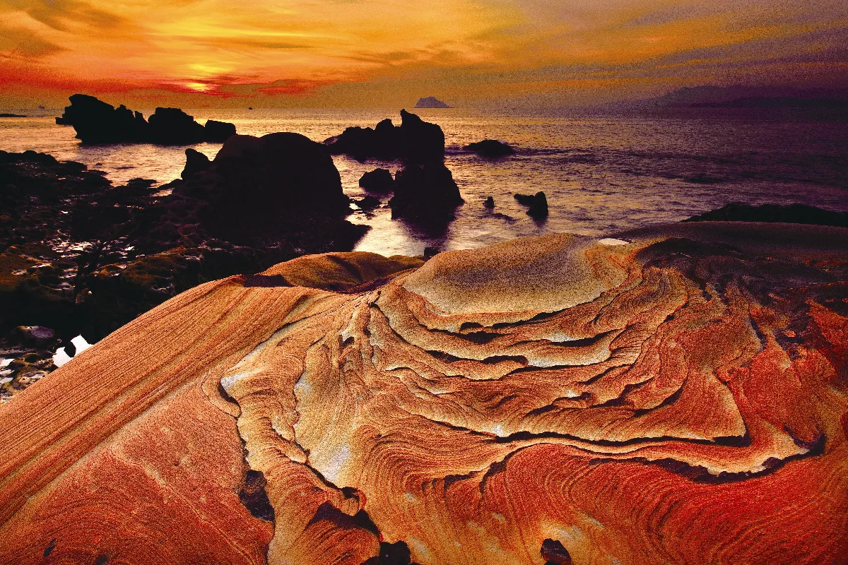 素人攝手 學佛行者王萬坤 從攝影體會人生