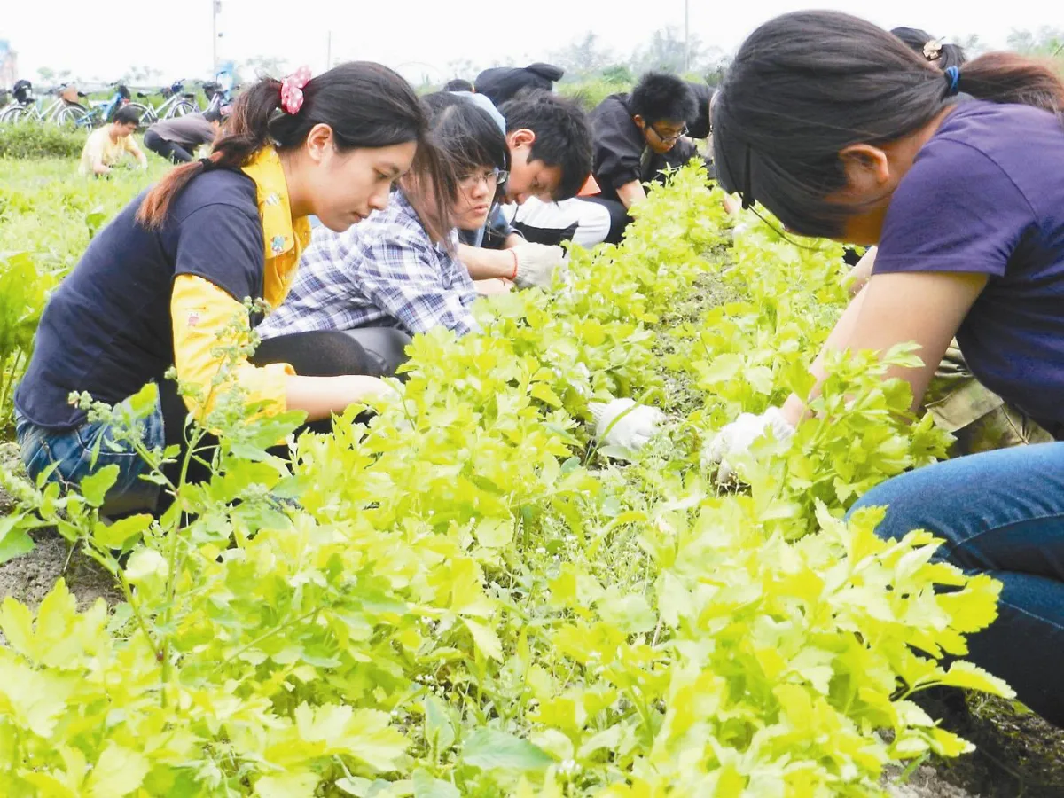 B咖教授開課 下田做菜樣樣來
