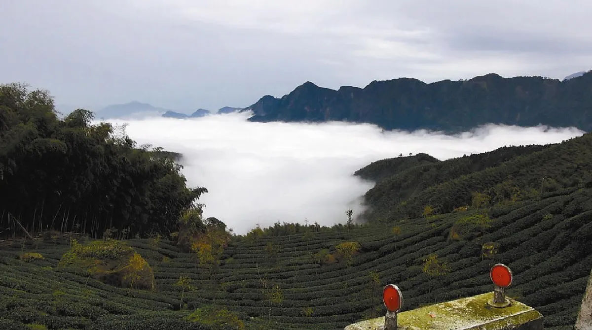 鹿谷大崙山 雲海美如畫