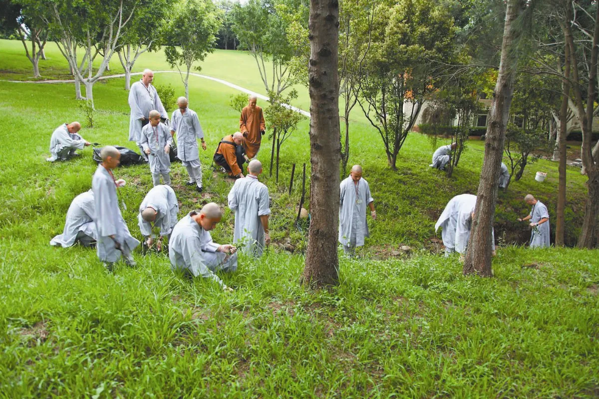 南天寺短期出家 遍植菩提善因