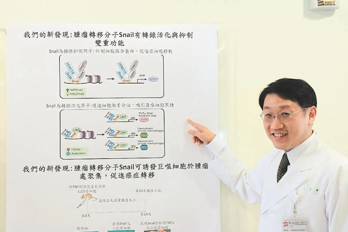 細胞惡化關鍵曝光 榮陽大突破