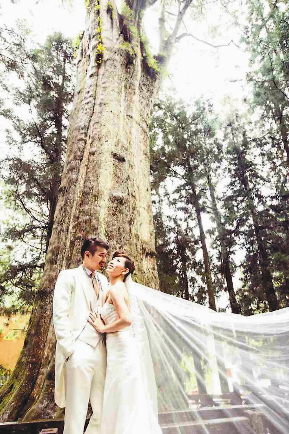 印象．旅人 神木下的婚禮山海戀