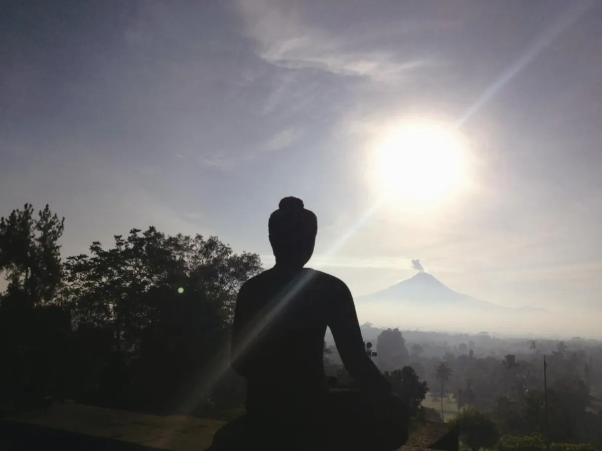 展│覽│訊│息