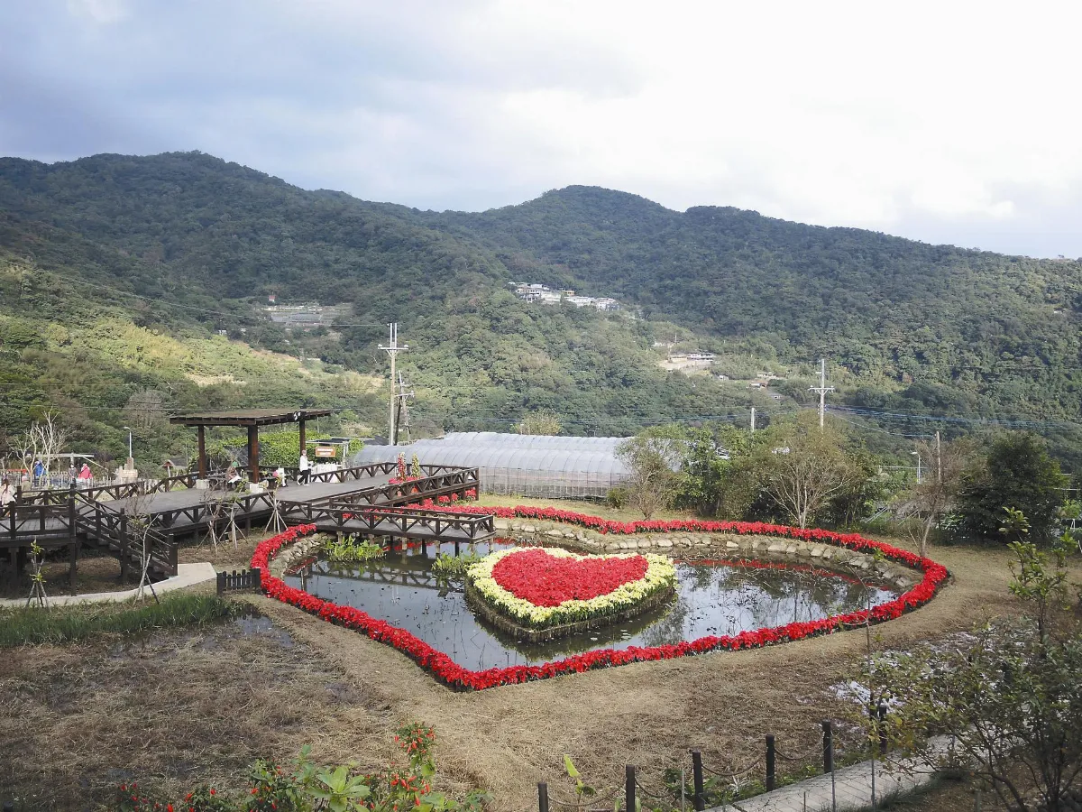 紅黃同心池迎耶誕