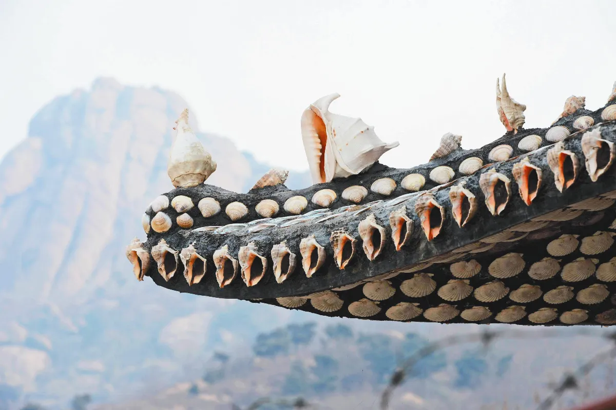 萬枚貝殼 鑲滿樓