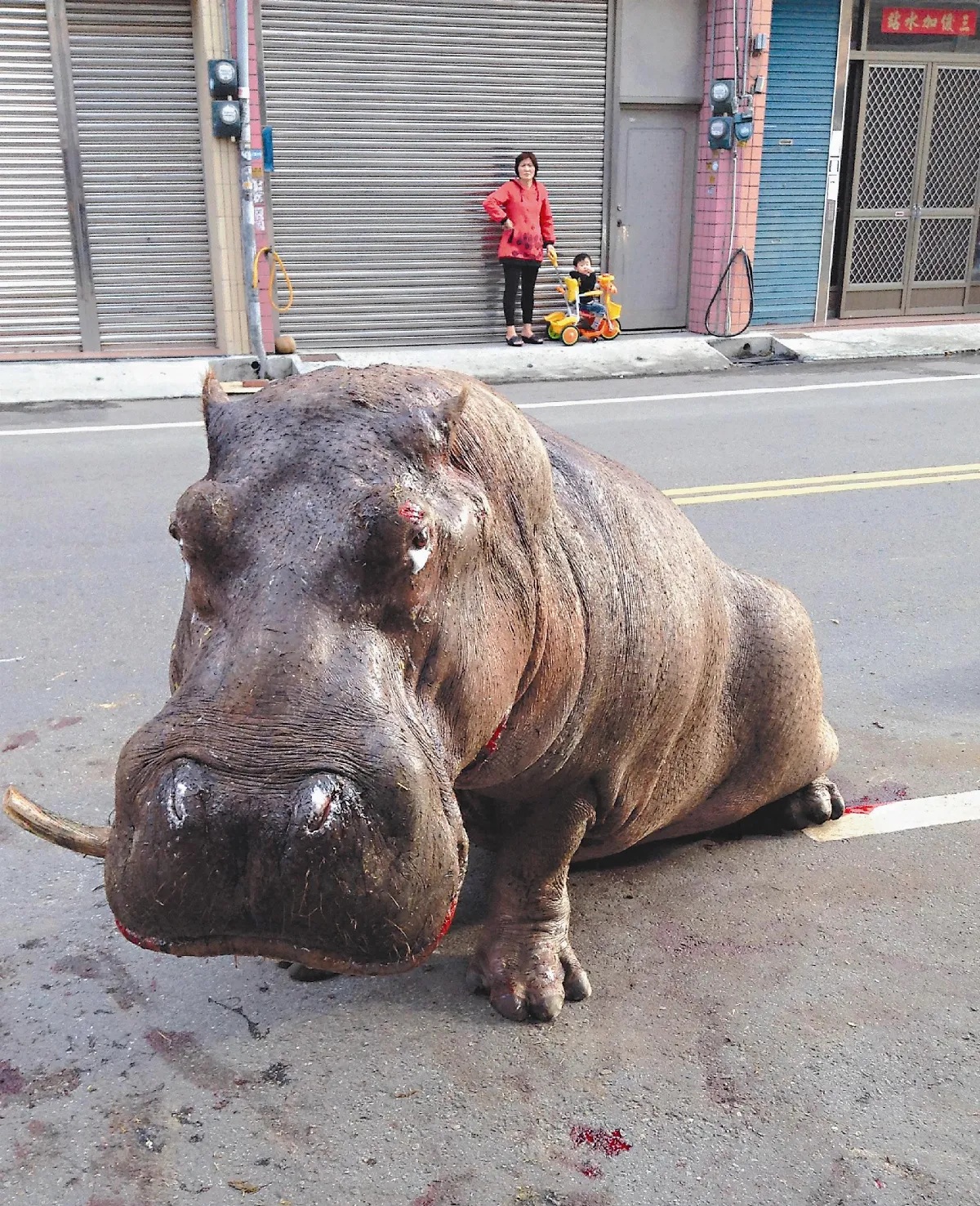 阿河死因：橫膈膜破 肺掉落腹腔