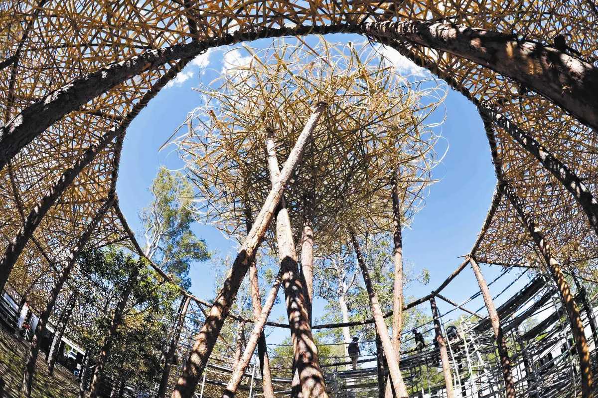 穹頂竹編 2度躍上國際藝壇