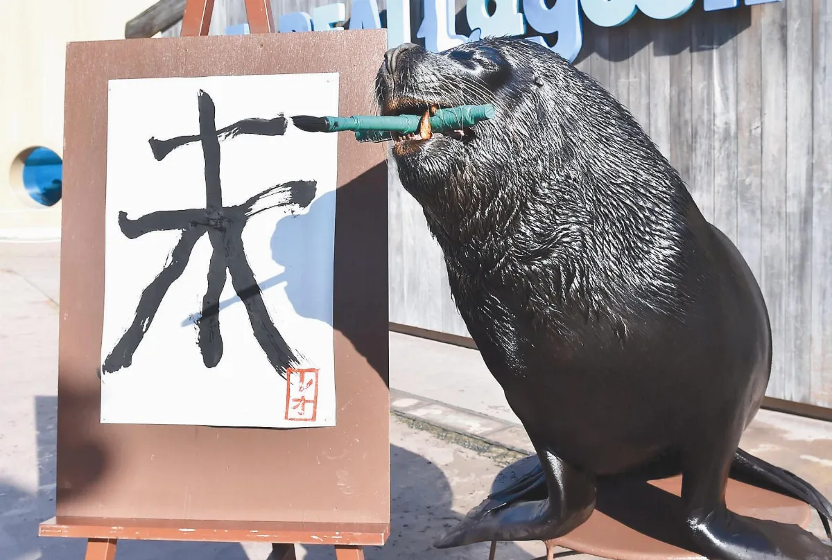 海獅寫字賀年