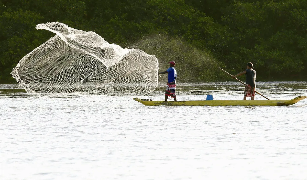 拉美國家拚經濟 保育，再說吧