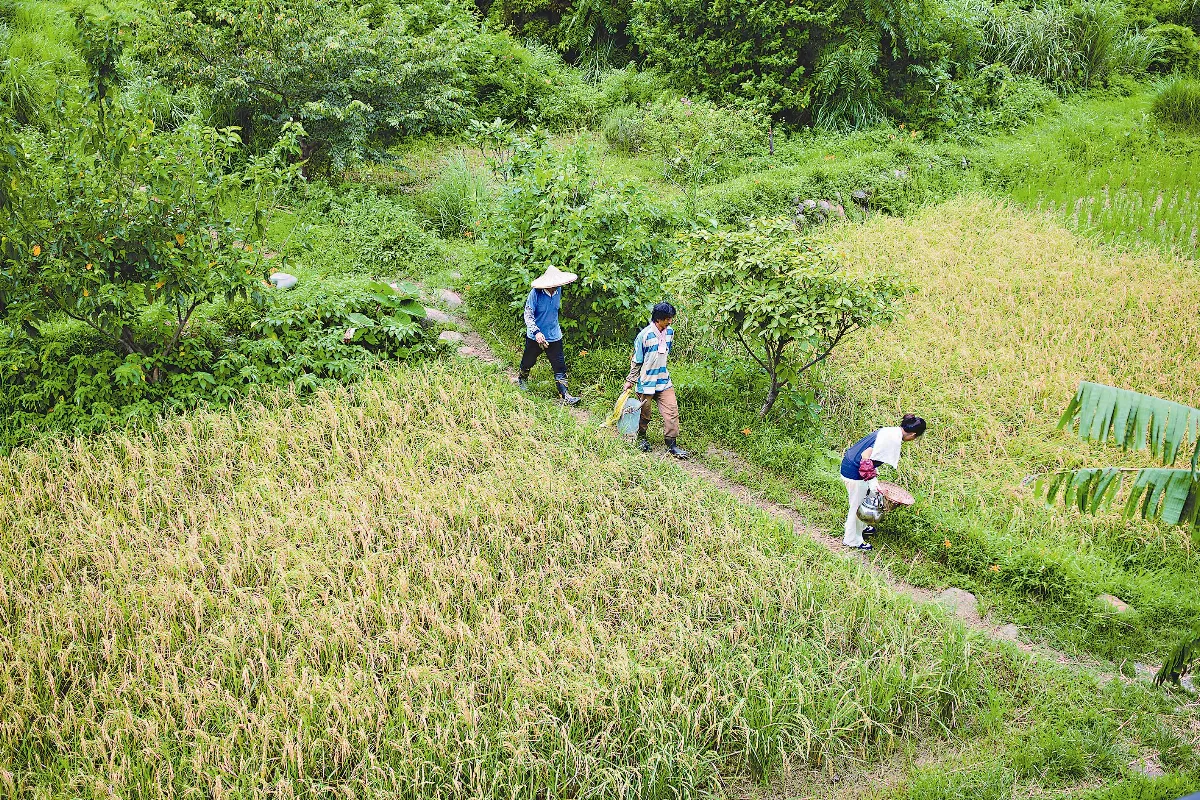 自給自足田園生活  醫師農夫黎旭瀛＆食育媽咪陳惠雯創立 自然農法的幸福農莊
