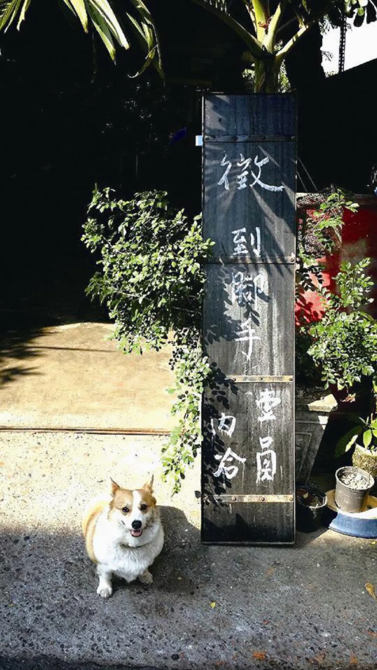 生活快門 徵人廣告