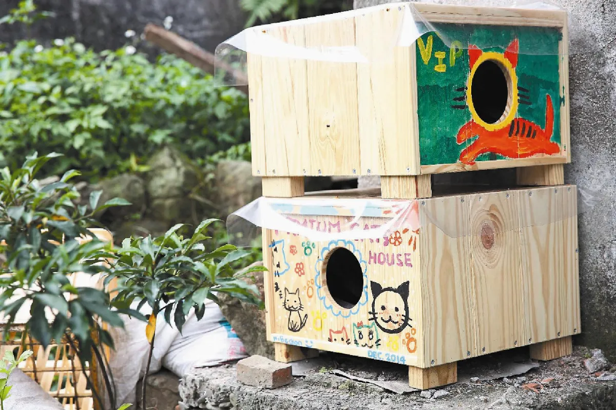 猴硐貓 住帝寶