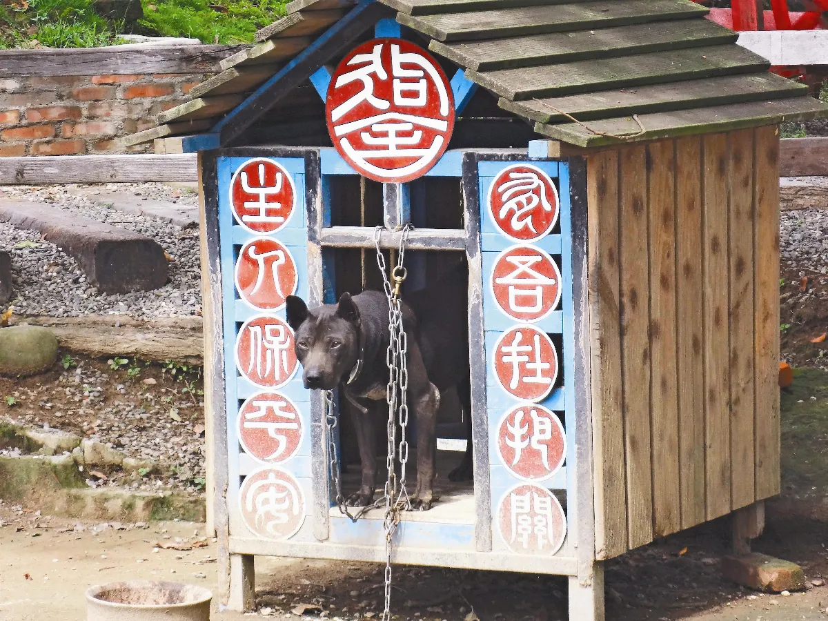 旅行的風景 出入保平安