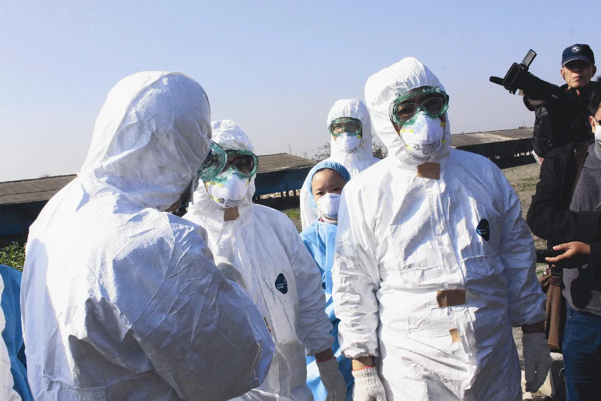 邊念佛號邊撲殺 3月不敢碰家禽