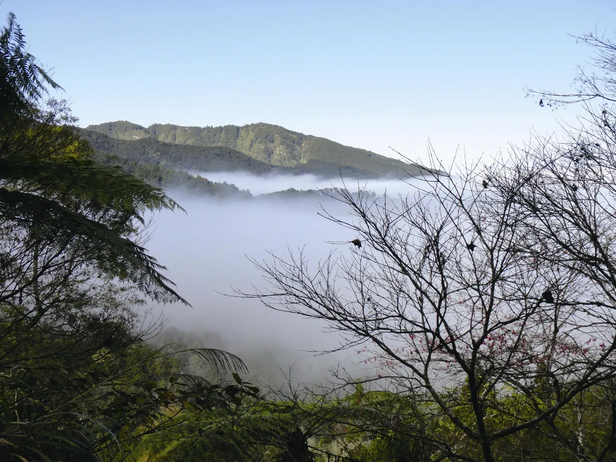 旅行的風景 美麗的國畫