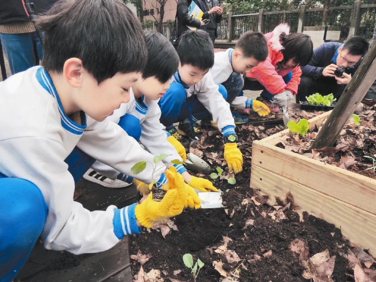 小田園教育 博愛學童樂當農夫