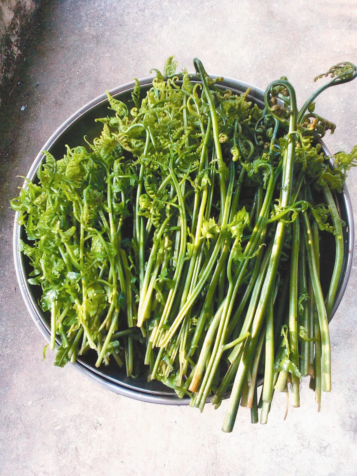 天然蔬食味 好吃的過貓