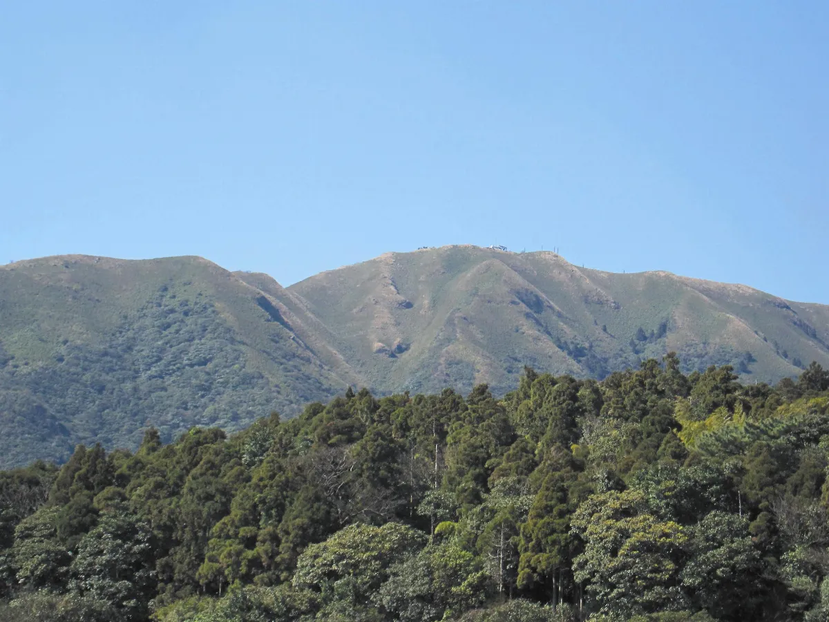 踏青去 來去爬陽明山