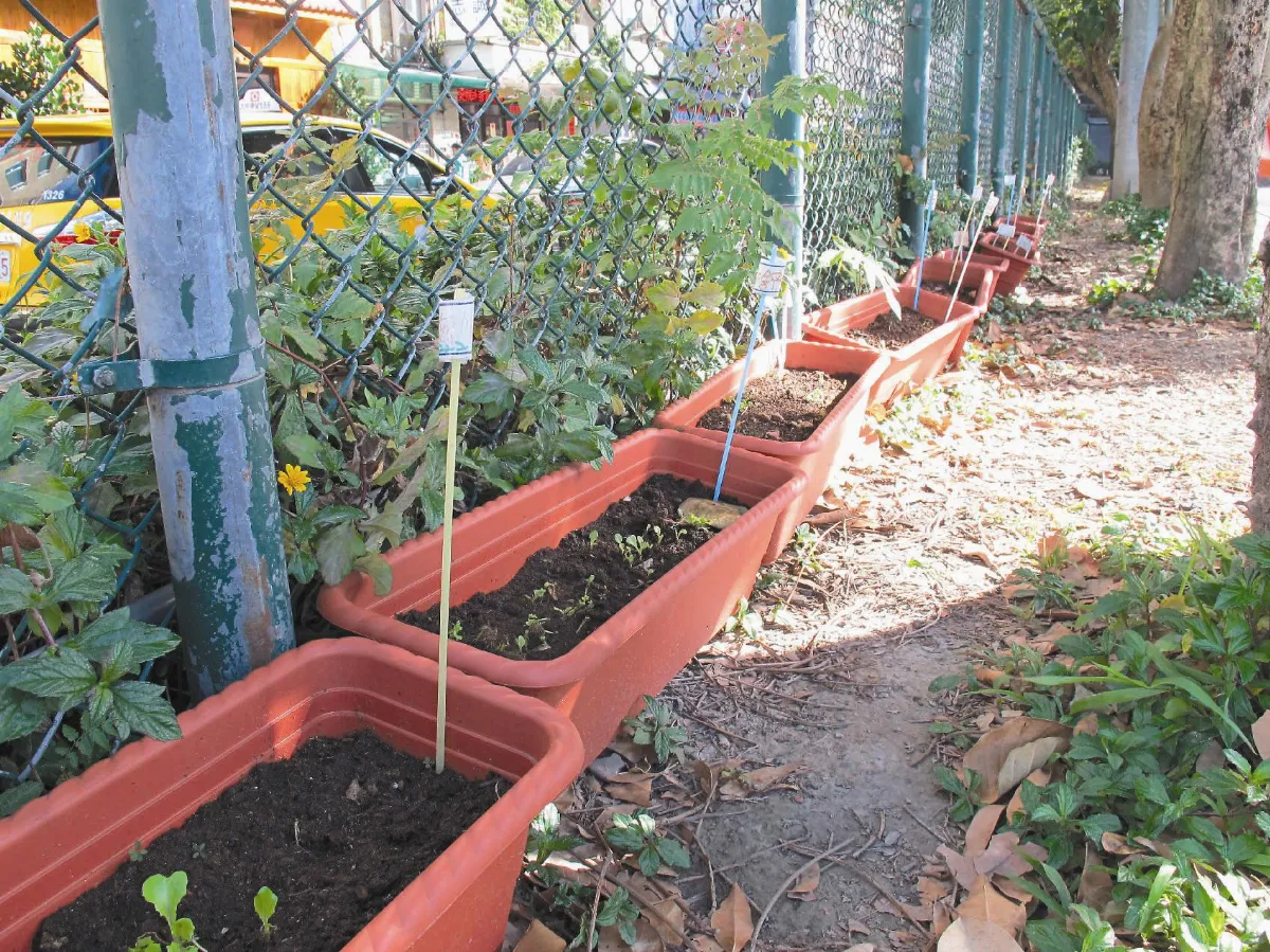 活化校園 引進屋頂農園概念 金華親子農藝班 學童用咖啡堆肥