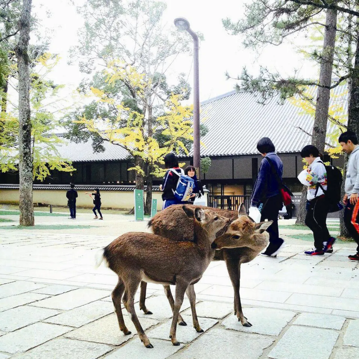 旅行的風景 令人心暖的畫面