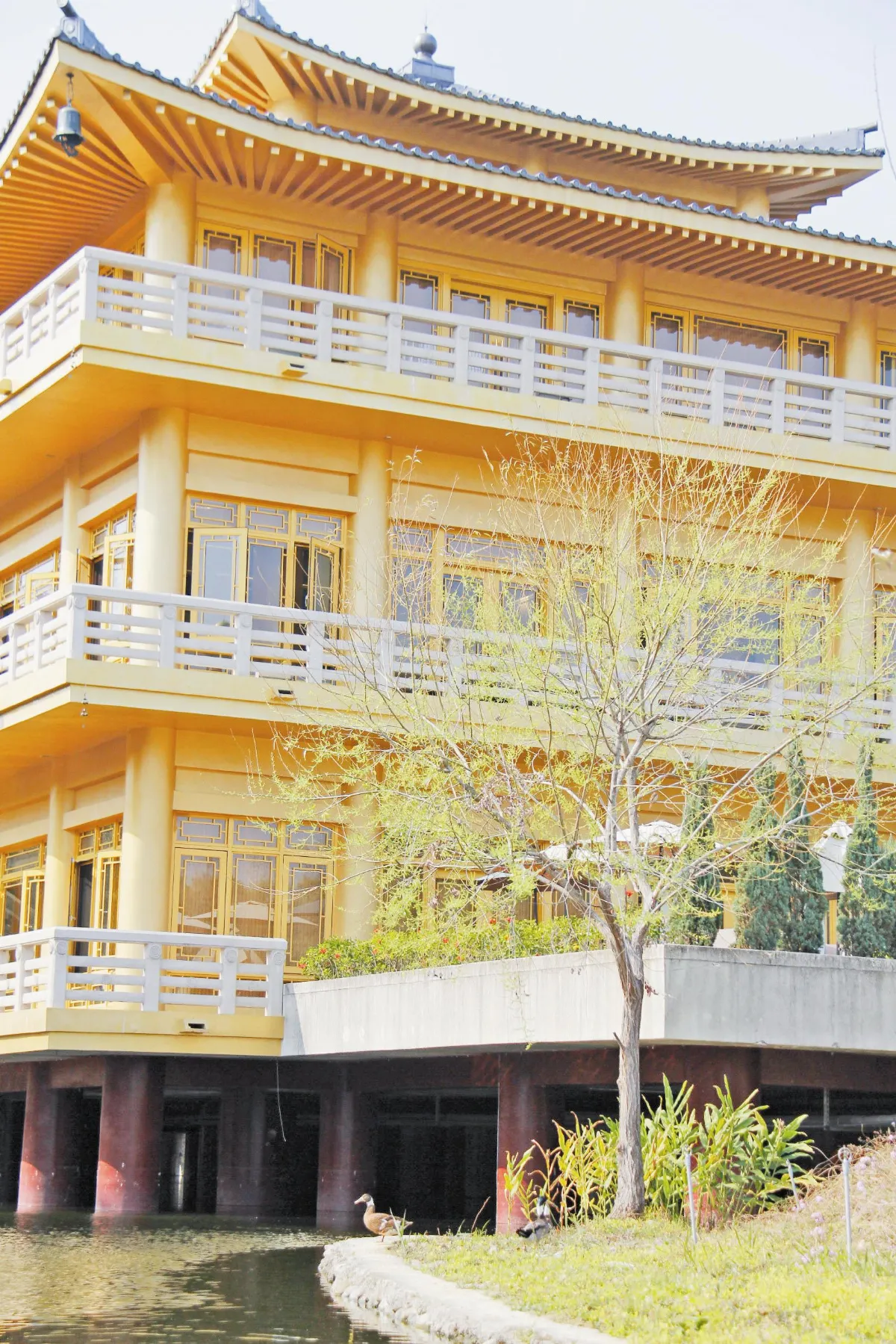 珍禽頻現佛館 賞鳥聖地