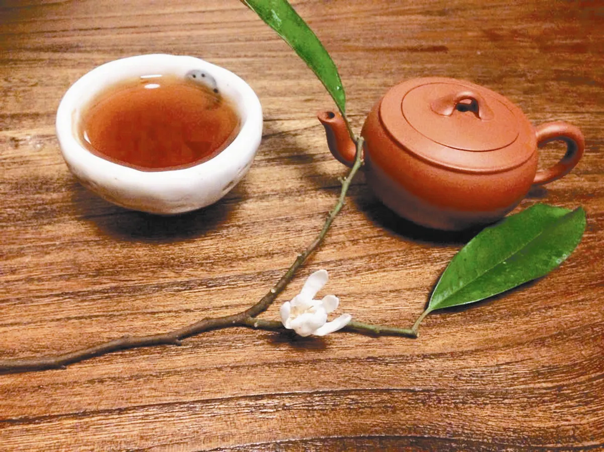 【藝術天地】 烏心石開花了