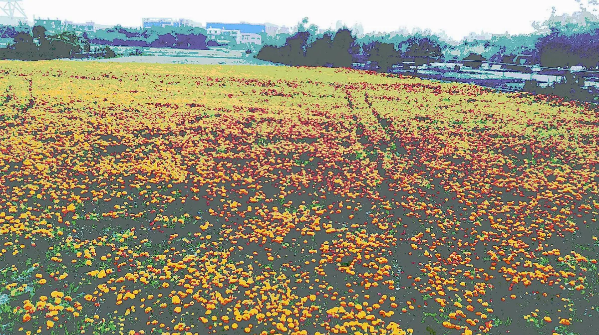 抵達