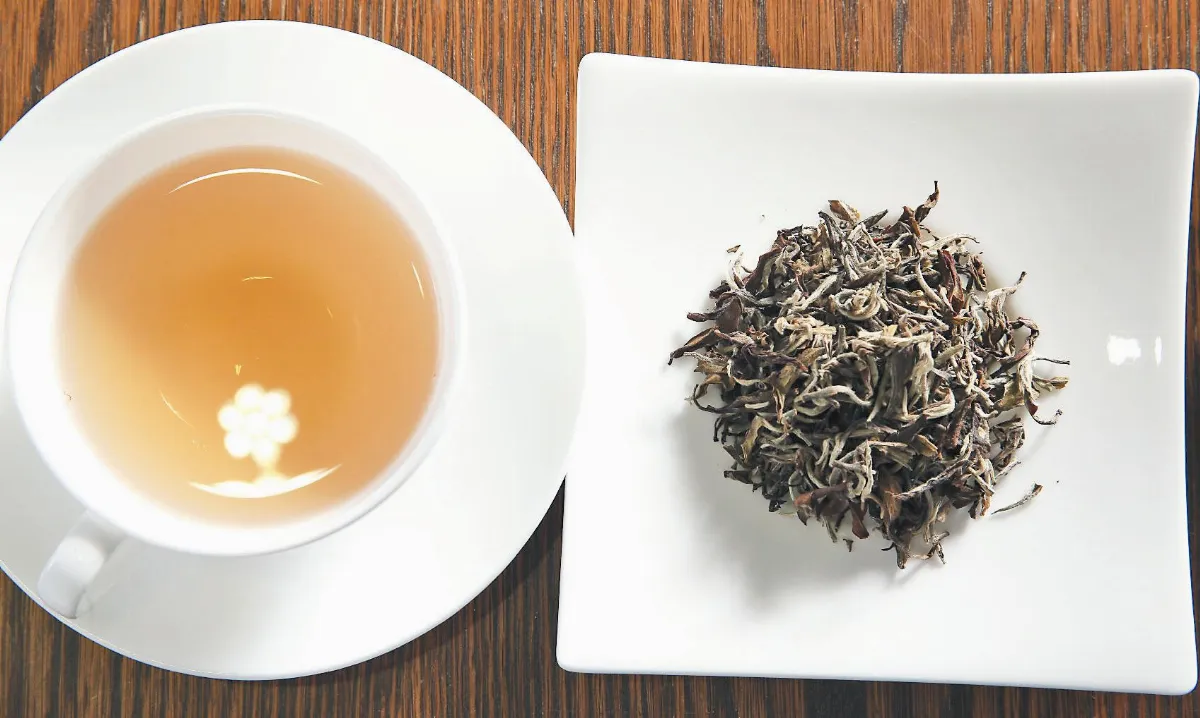 牛飲紅茶 助老骨頭回春