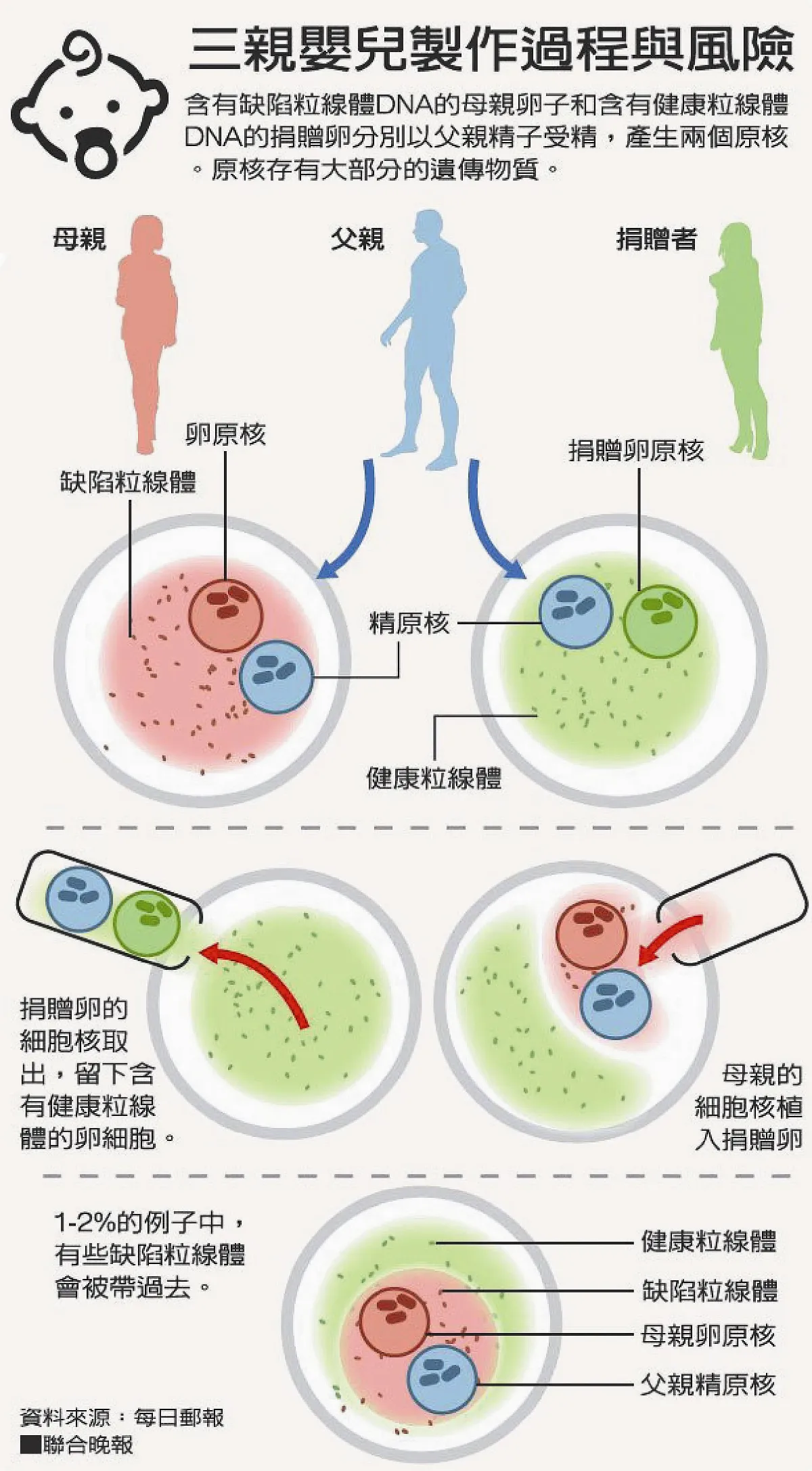 一父兩母 英通過三親嬰兒法案